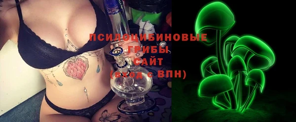 ПСИЛОЦИБИНОВЫЕ ГРИБЫ Аркадак