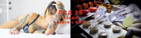 apvp Арсеньев